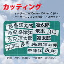 送料無料！ポイント消費☆お試し♪　カッティング　名前　会社名etc.　2枚セット（約H30mm-W100mm）　全10色　2〜3文字程度