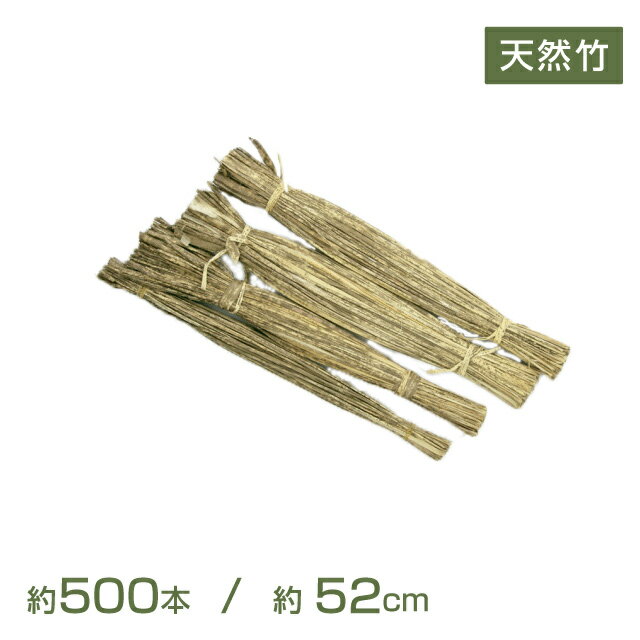【送料無料】竹皮ヒモ 約500本 06813 竹の皮 弁当 おにぎり 包装 容器