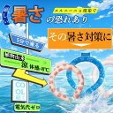 【Sale期限限定407円OFF】【夏対策・軽量化】冷感 アイス 冷却キープ 大人 子供 キッズ 暑さ対策 冷たい 冷感グッズ 冷やす 保冷 首掛け 超絶冷感 冷感リング アイスクールリング