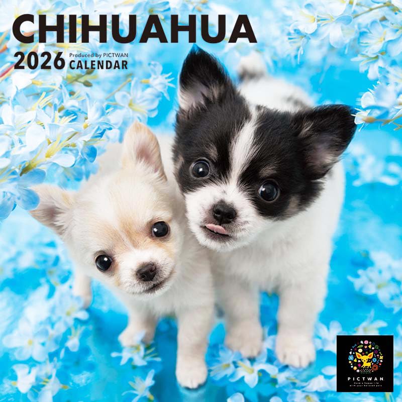 PICTWANカレンダー2026 【S判】チワワ