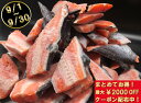 銀鮭切り落とし1.5kg 【クーポン配布中】