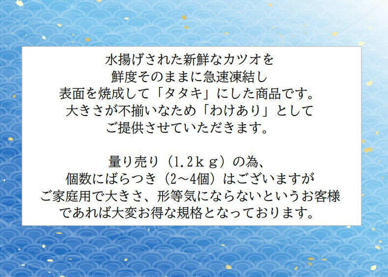 カツオのたたき　1.2kg　カツオたたき　たたき　カツオ　かつお　鰹　刺身　生　わけあり　訳あり　海鮮 2