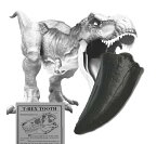 SCIENCE Fossil Replica T-REX Tooth「T-REX ティラノサウルス・レックスの歯 化石（複製・レプリカ）獣脚類 約60mm 白亜紀後期 産地：U.S.A.」 Tyrannosaurus rex tooth オリジナル標本ケース入り