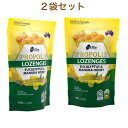 True Blue プロポリス ユーカリ＆マヌカハニーのど飴 MGO 600+ 800g ×2 セット コストコ 商品 お得 お買い得 大容量 飴 のど 乾燥 防止..