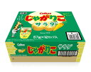 カルビー じゃがりこ サラダ味 57g × 12個 2箱セット 24個セット おやつ スナック 菓子 まとめ買い お得 大量 大容量