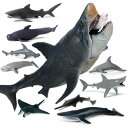 メガロドン ホホジロザメ サメ 海洋動物 魚類 動物セット 11PCS プラモデル 模型 誕生日 プレゼント 贈り物 リアル フィギュア おもちゃ インテリア(3)