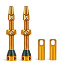 Thinvik チューブレスバルブ 仏式 チューブレス対応リム用 48mm 70mm 超軽量 アルミ合金 耐久防錆 2本セット (アルミニウム合金バルブキャップ付) + コア外しツール付き (48mm オレンジ)