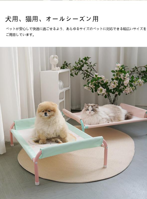 サンプル画像2
