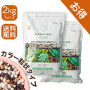 【送料無料】KOSEME 多肉植物の肥料 8-10-8-2 2kg 1kg×2袋|硫黄コーティング 3 ヶ月緩効 有機アミノ酸配合|多肉植物専用 |N-P-K 最適バランス 鉢植え / 露地用 元肥・追肥両用 人気 大容量