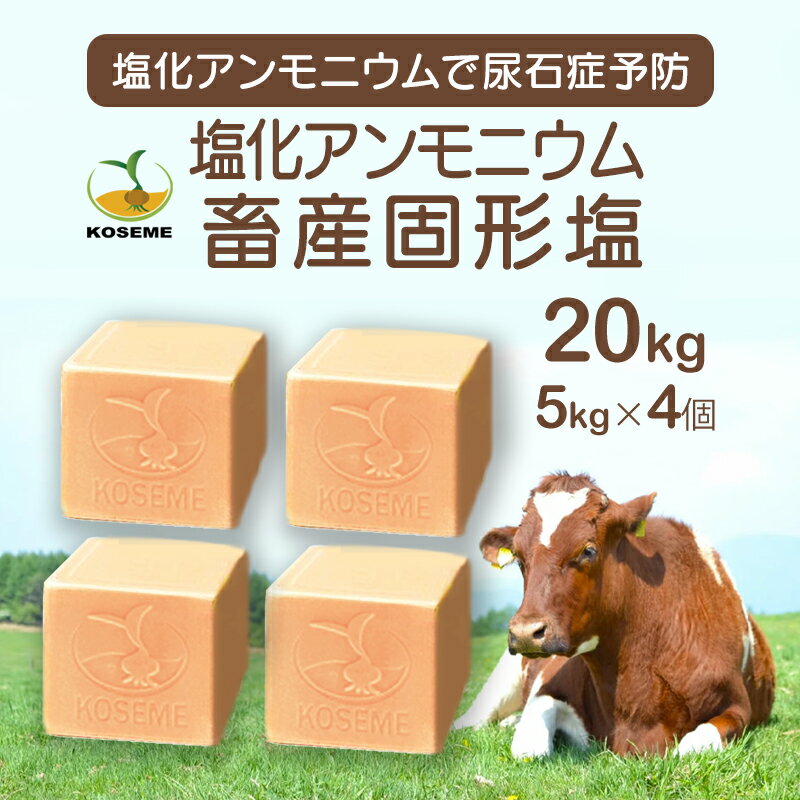 塩化アンモニウム畜産用 固形塩 5kg×4個・単品もあり