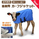 【お買い物マラソン限定最大ポイント 10 倍還元+まとめ買いお得クーポン】【送料無料】畜産用 カーフジャケット