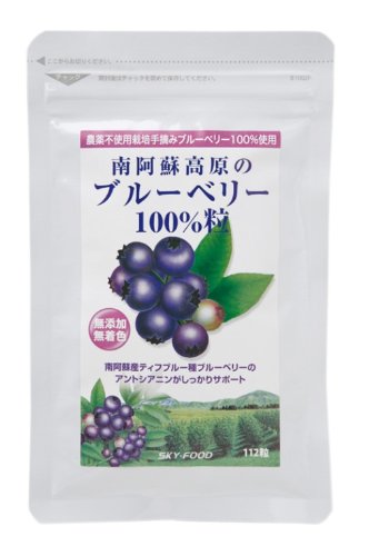 送料無料　南阿蘇高原のブルーベリー100％粒　スカイフード