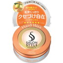 【コーセーコスメポート】サロンスタイルヘアワックス C ハード 23g【ワックス ヘアスタイリング】【サロンスタイル】