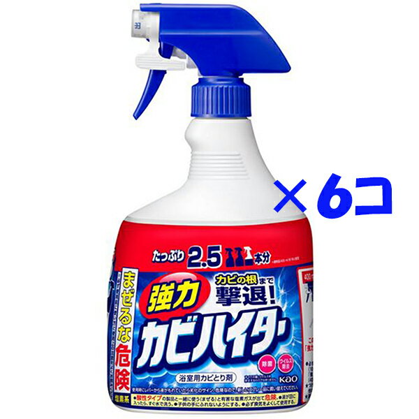 【ケース販売】【花王】強力カビハイター　特大　1000ml×6コ【カビハイター】【次亜塩素酸塩】【除菌】