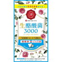 ミナミヘルシーフーズ 生酪酸菌3000(60カプセル)【ビフィズス菌】【酪酸菌】