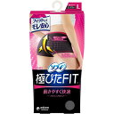 【メール便対応】【代引き不可】【同梱不可】【送料無料】ソフィ 極ぴたFIT カジュアルフィットLサイズ ピュアグレー 1枚【ローライズ】【生理用ショーツ】【サニ...