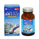 活性ケフィア 30日分 200mg×約300粒【乳酸菌】【酵母菌】【オリゴ糖】【ファイン】