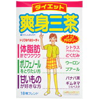 【山本漢方】爽身三茶 10g×22包【杜仲葉】【健康茶】(4)