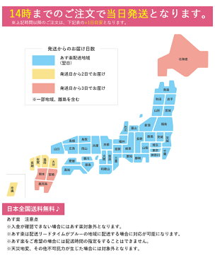 【圧倒的な高評価レビュー4.59点!!】水着 レディース ラッシュガード 体型カバー ママ水着 30代 40代 50代 大人 女子 セット水着 かわいい おしゃれ タンキニ カバーアップ ショートパンツ 4点セット 大きいサイズ ギフト オトナ女子 COTARON コタロン【送料無料】