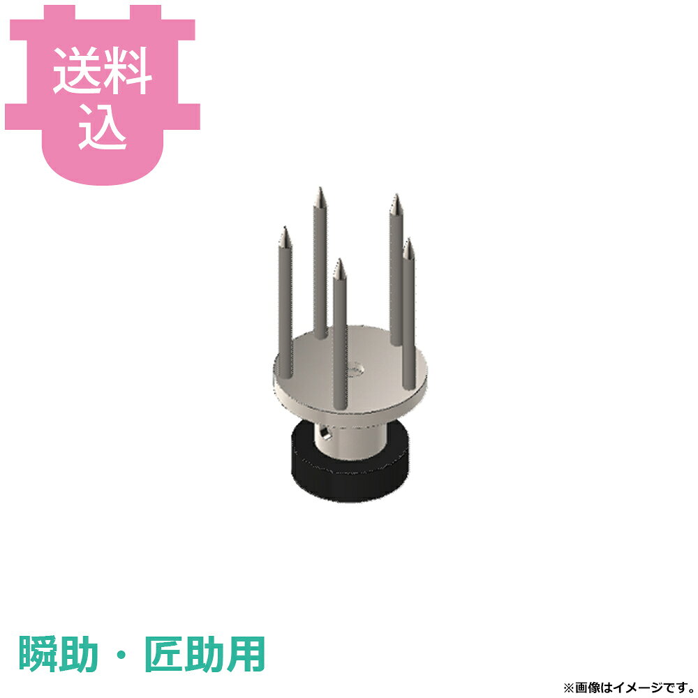 出荷日 2週間以内に出荷予定（※メーカー・商社直送品）急な廃番・欠品はメールでご連絡いたします。●アストラ KA-700H 瞬助、FAP-1001 匠助用の柑橘類（標準）用固定ピンです。※モニターの発色によっては実際の色味と異なる場合がございます。【cotocamado 湖都かまど ことかまど コトカマド 調理小物 抜型・細工用品・皮むき・玉子切 アストラ アストラ HP-MO astra 剥皮機械 皮むき機 ピーラー 皮剥き フルーツ カット野菜 カットフルーツ パーツ 交換 オプション 追加 HP-MO HPMO 柑橘用固定ピン標準 みかん用固定ピン 瞬助部品 匠助部品 交換用】