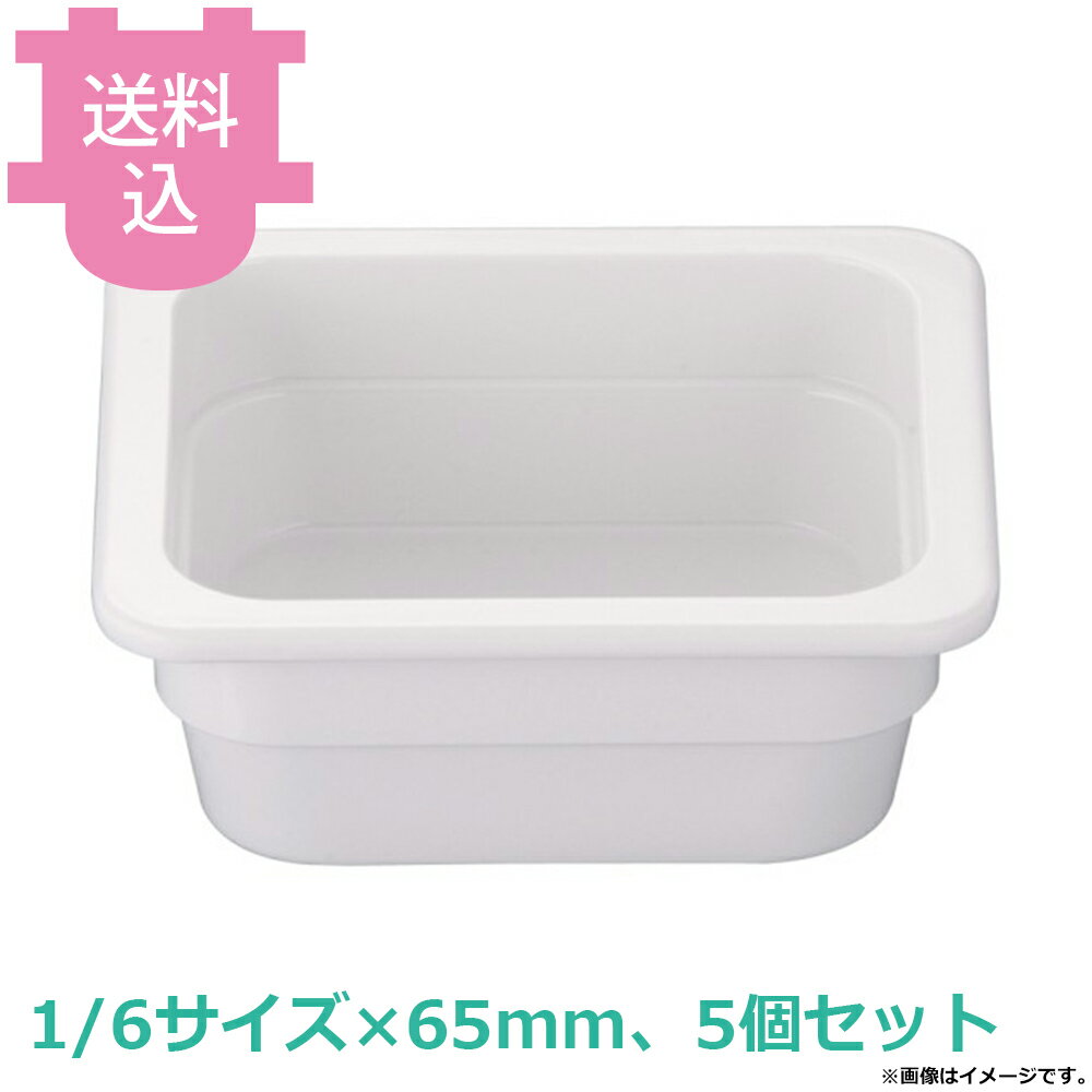 樂天商城 - JB メラミンホテルパン1/6 65mm 5個セット 【送料込・代引不可】