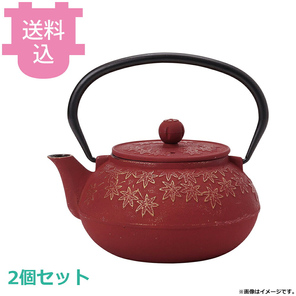 出荷日 7営業日以内に出荷予定（※取り寄せ品）急な廃番・欠品はメールでご連絡いたします。 入数 2個（1個あたり：約 3,900円）●サイズ(mm)：175×150×H160 (口径81 底径90)●容量：0.9L●材質：鉄鋳物（内面ホーロー加工）※モニターの発色によっては実際の色味と異なる場合がございます。【cotocamado 湖都かまど ことかまど コトカマド ホテル・旅館用品 客室備品 遠藤商事 イシガキ 4631 4971360346311 1-2474-0202 BTT4002 BTT-40 RINNE RIN・NE btt4002 BTT4002 btt-4002 4631 鉄瓶 錦秋 キンシュウ 0.9L 0.9リットル 900ml 鉄やかん 急須 業務用 飲食店 旅館 和食器 カラー鉄瓶】