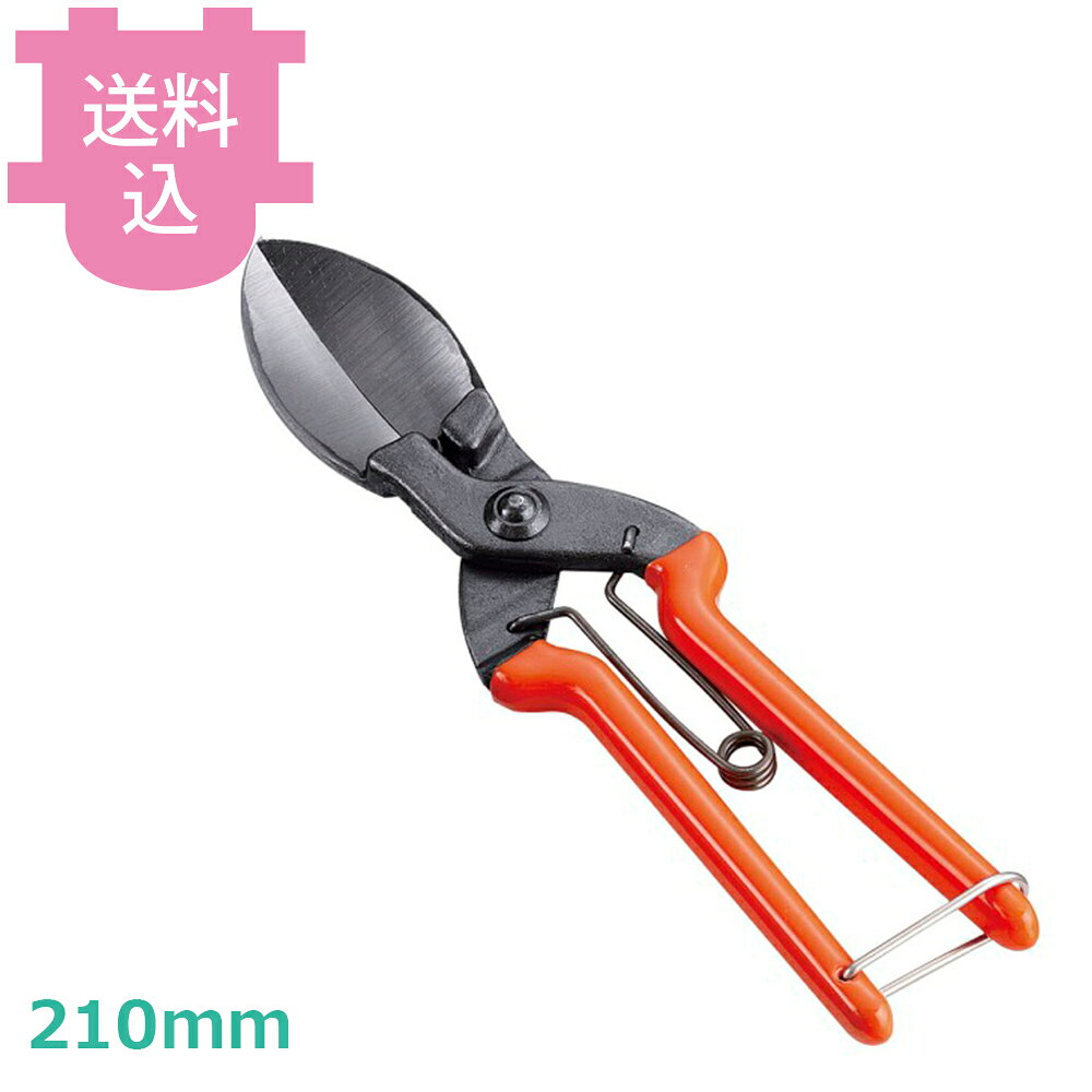 出荷日 7営業日以内に出荷予定（※取り寄せ品）急な廃番・欠品はメールでご連絡いたします。●全長：210mm●刃長：約50mm●材質：本体/刃物鋼 ハンドル部/ビニールコーティング●スプーン型の刃がかぼちゃや果物等の太い軸をえぐるように一発で切り落とします。かぼちゃ以外にもニンニクや玉ねぎ等の収穫にも御使用いただけます。※モニターの発色によっては実際の色味と異なる場合がございます。【cotocamado 湖都かまど ことかまど コトカマド 調理小物 ハサミ・栓抜・缶切類 遠藤商事 4930491750121 1-0590-0901 BKB0501 9-0587-1401 BKB-05 SUWADAかぼちゃん かぼちゃ収穫鋏 農業用ハサミ 業務用 農園 青果店 野菜収穫用】