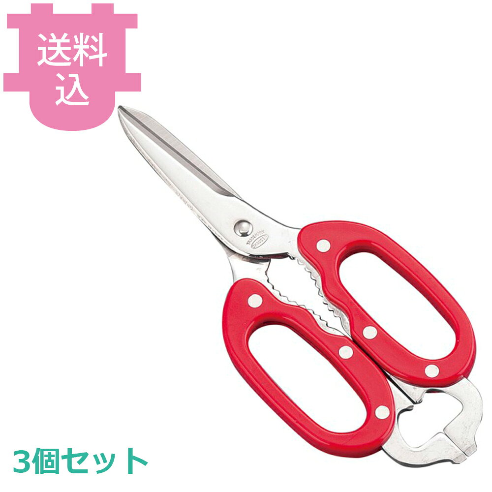 出荷日 7営業日以内に出荷予定（※取り寄せ品）急な廃番・欠品はメールでご連絡いたします。 入数 3個（1個あたり：約 1,733円）●全長：215mm●耐熱80℃※モニターの発色によっては実際の色味と異なる場合がございます。【cotocamado 湖都かまど ことかまど コトカマド 調理小物 ハサミ・栓抜・缶切類 遠藤商事 4982913100014 1-0587-0501 BLY1601 9-0583-0501 BLY-16 コックさんハサミ 料理バサミ ステンレス製 業務用 飲食店 給食施設 カラーバサミ】