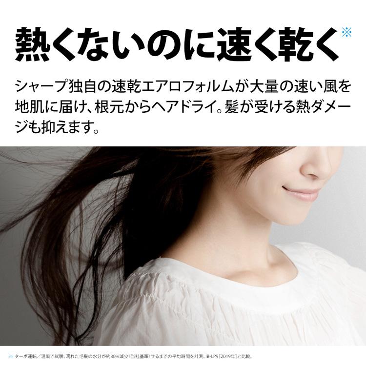 SHARP（シャープ）『IB-NP7』