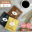 【送料無料】 ドリップバッグ 飲み比べ 10g × 6袋 ホットコーヒー アイスコーヒー 水出し 飲み比べ 1000円ポッキリ オシャレ コーヒーバッグ ギフト...