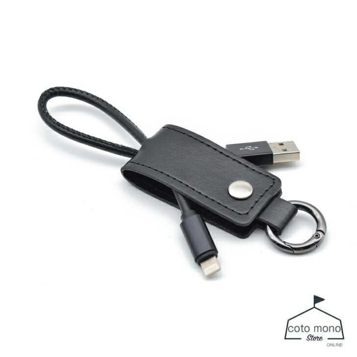 日本トラストテクノロジー Keycase Cable iOS Black KCIP-BK