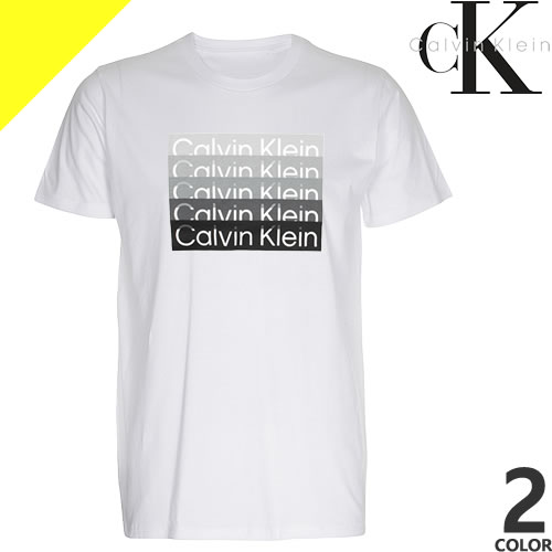 カルバン・クライン Tシャツ メンズ カルバンクライン Tシャツ 半袖 クルーネック 丸首 メンズ CK ロゴ プリント コットン おしゃれ 大きいサイズ ブランド プレゼント 白 黒 ホワイト ブラック Calvin Klein 40IC836 [ネコポス発送]