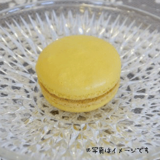 マカロン　レモン 　　 プチギフト 結婚式 二次会 ウェディング 披露宴 ありがとう 退職 子ども パーティ ノベルティ 引越し 退職 挨拶 内祝 クリスマス バレンタインのサムネイル