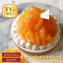 お中元 御中元 2025 早割 送料無料 100円OFFクーポン / 14cm オレンジ&ピンクグレープフルーツタルト 4.5号 (4〜6名様用) タルト ケー...