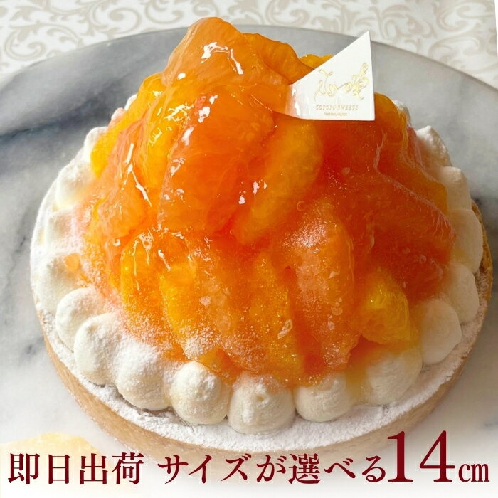 【100円OFFクーポン】誕生日ケーキ タルト フルーツタルト 送料無料 オレンジ＆ピンクグレープフルーツタルト 4.5号 (4～6名用) 誕生日 スイーツ お取り寄せ ギフト 誕生日プレゼント 記念日 母親 女友達 大人 子供 ギフト 無添加 お菓子 お祝 内祝 御礼 バレンタイン 早割