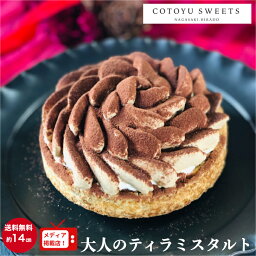 心優 クリスマスケーキ 【母の日 早割 送料無料 プレゼント ギフト カーネーション 100円OFFクーポン配布中/14センチ】ティラミスタルト (4〜6名様用) バースデーケーキ 誕生日ケーキ 子供 宅配 メッセージプレート 4号 5号 6号 内祝 お返し お取り寄せスイーツ 無添加 お菓子 出産内祝 還暦