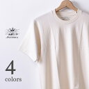 【ANATOMICA】アナトミカMEN 039 S ORGANIC TEE (MADE IN JAPAN) メンズ オーガニックTシャツ (日本製) 全4色 ネコポス対応