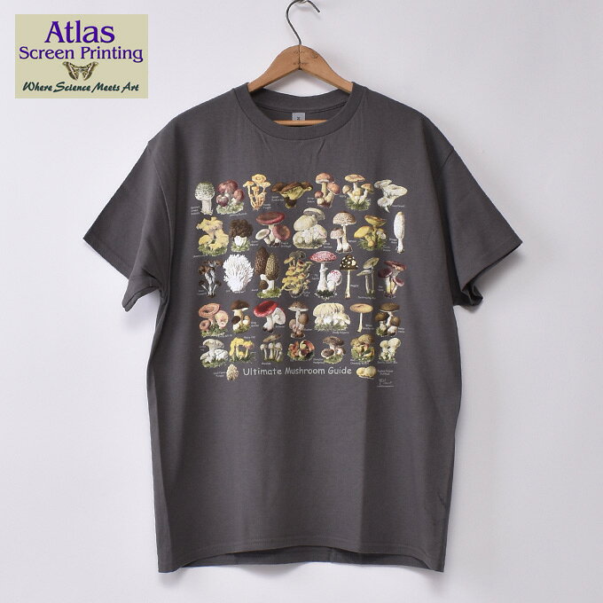 26ss ATLAST ロンT 楽天市場】atlast（トップス｜メンズファッション）の通販