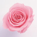 プリザーブドフラワー プロヴァンスローズ レギュラー9輪 フラワーアレンジメント 花材 バラ薔薇 母の日 プレゼント 花