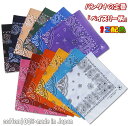 【ROTHCO】(ロスコ) DON'T TREAD ON ME BANDANA (4032) / バンダナ (ブラック) バックドロップ 老舗アメカジショップ the back drop ミリタリー 大判 アウトドア [ネコポス対応]