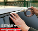 バンパーガード プロテクター モール 曲面対応 フロント バック 装着 柔軟 シルバー 傷防止 両面テープ 傷防止 簡単取り付け アクセサリー 3M/5M 父の...
