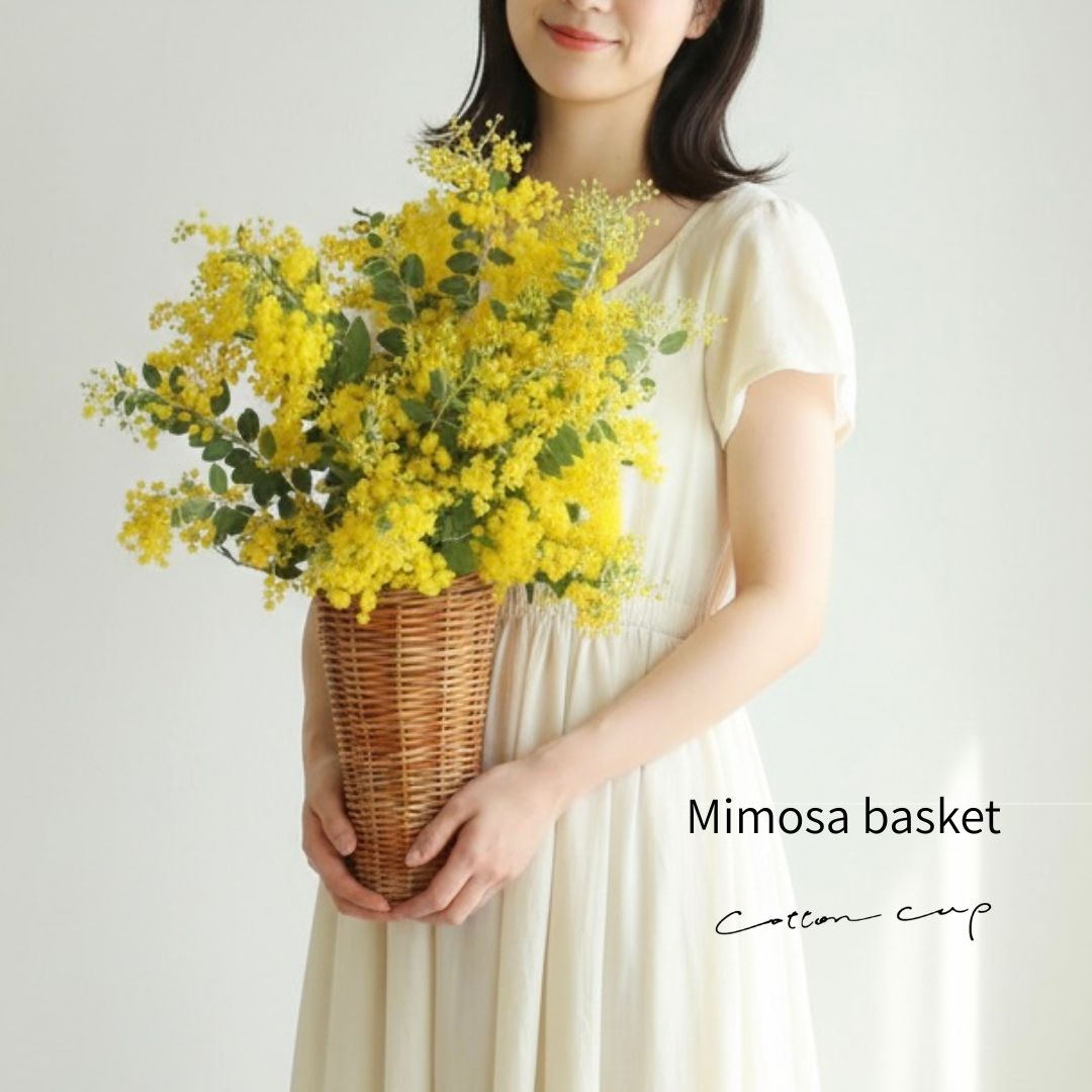 楽天市場】フレッシュミモザの通販