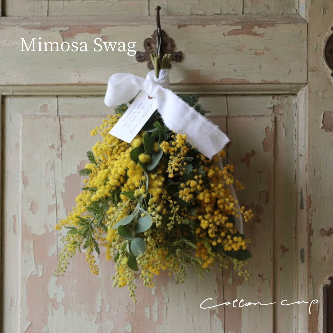 楽天市場】フレッシュミモザの通販