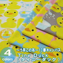 手作り応援します！ 50cm単位 切売り〜う早この布〜10番キャンバス≪Tiny Duck（タイニーダック）≫　綿100％　110cm幅