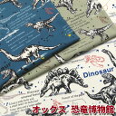 KOKKA　オックス　恐竜博物館(単位50cm)ダイナソー/生地/綿/コットン/プリント