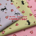 IbNX Coco Land@ỏԂƂ˂(P50cm)L/˂/lR/Lbg/CAT/ɂ/L/NlR/KN/΂/[Y/ROSE/͂/ni/t[/vg/n//Rbg