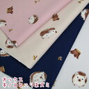 オックス キノコとハリネズミ(単位50cm)はりねずみ/きのこ/動物/アニマル/木/切り株/森/生地/綿/コットン