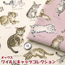 オックス ワイルドキャッツコレクション(単位50cm)Wild Cats Collection/野生の猫図鑑/ネコ科/ねこ/キャット/CAT/ライオン/ホワイト...