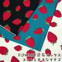 FUWARI@z@IbNX RƑ傫ȃC`S(P50cm)k//Xgx[/t[c/ʎ//JCC/̎q/vg/n//Rbg