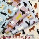 FUWARI@z@IbNX CAT TOY(P50cm)L/˂/lR/Lbg/݃J[/jAXJ[/eJ[/vg/n//Rbg